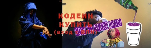 шишки Елизово