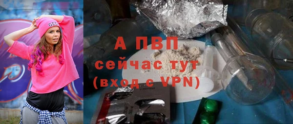 СК Вязьма