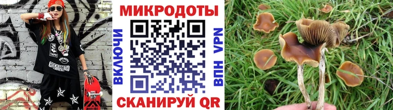 Псилоцибиновые грибы ЛСД  hydra ССЫЛКА  Мураши 